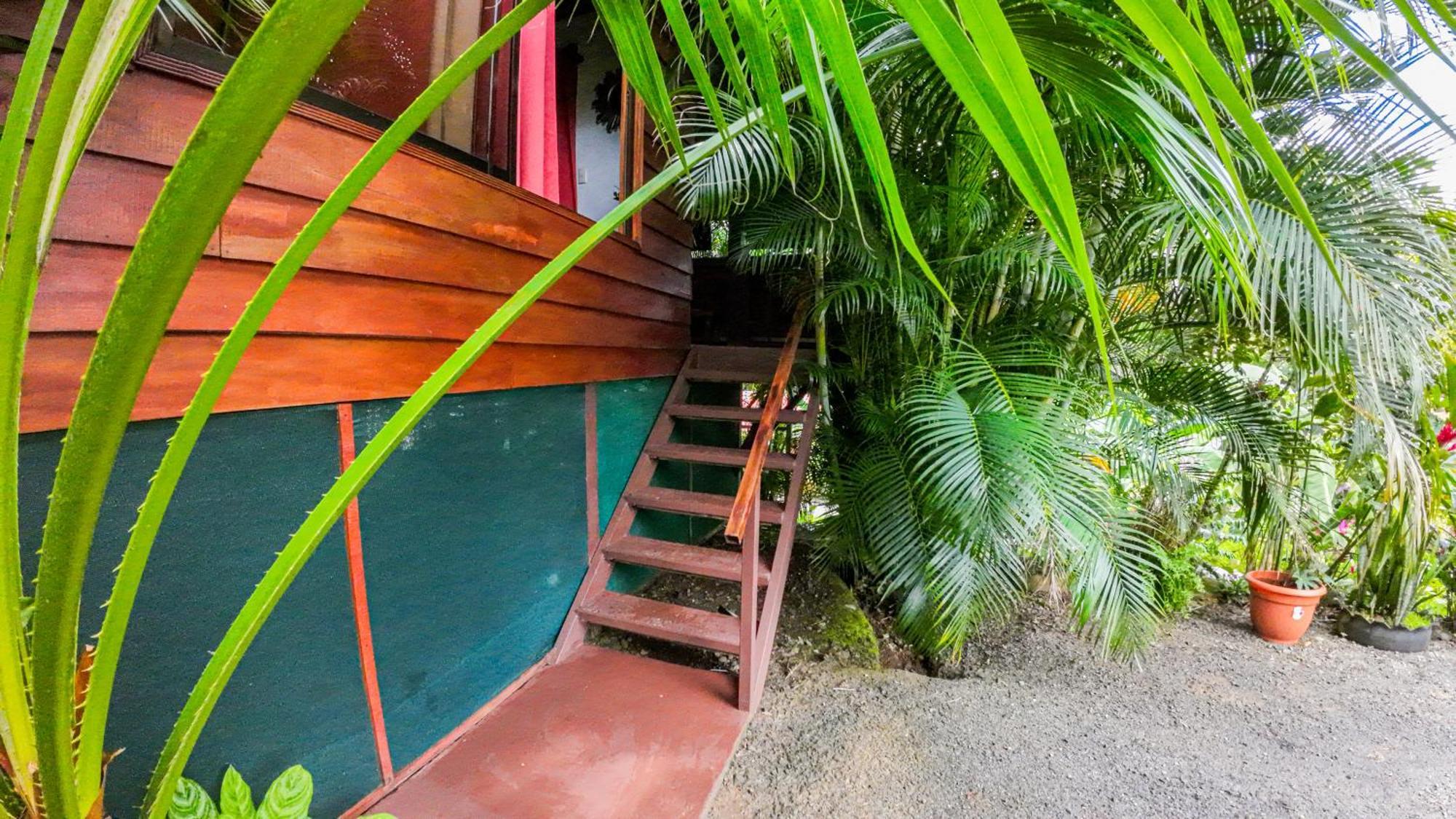 Bungalows Las Iguanas Arenal Volcano La Fortuna المظهر الخارجي الصورة