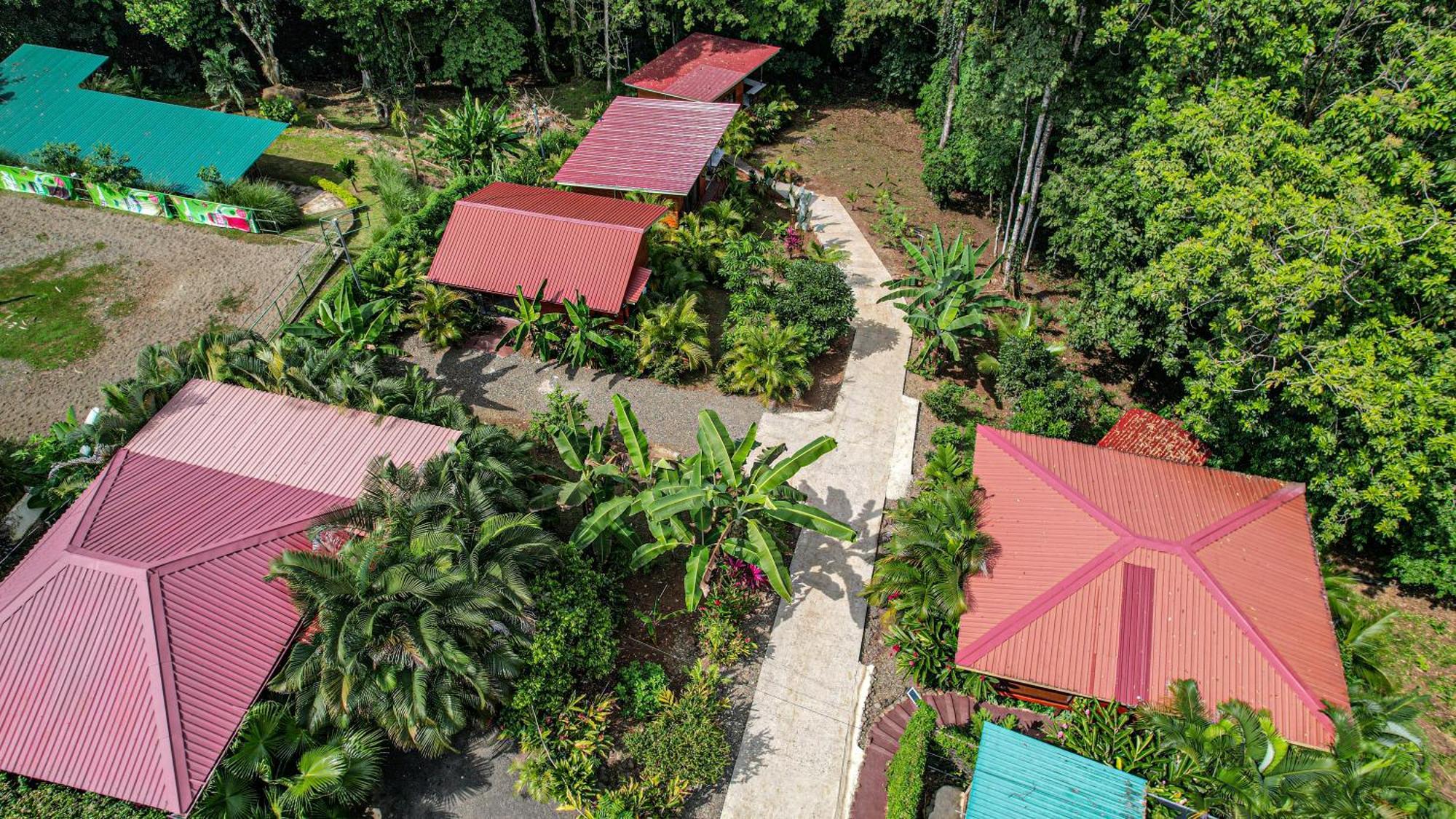Bungalows Las Iguanas Arenal Volcano La Fortuna المظهر الخارجي الصورة