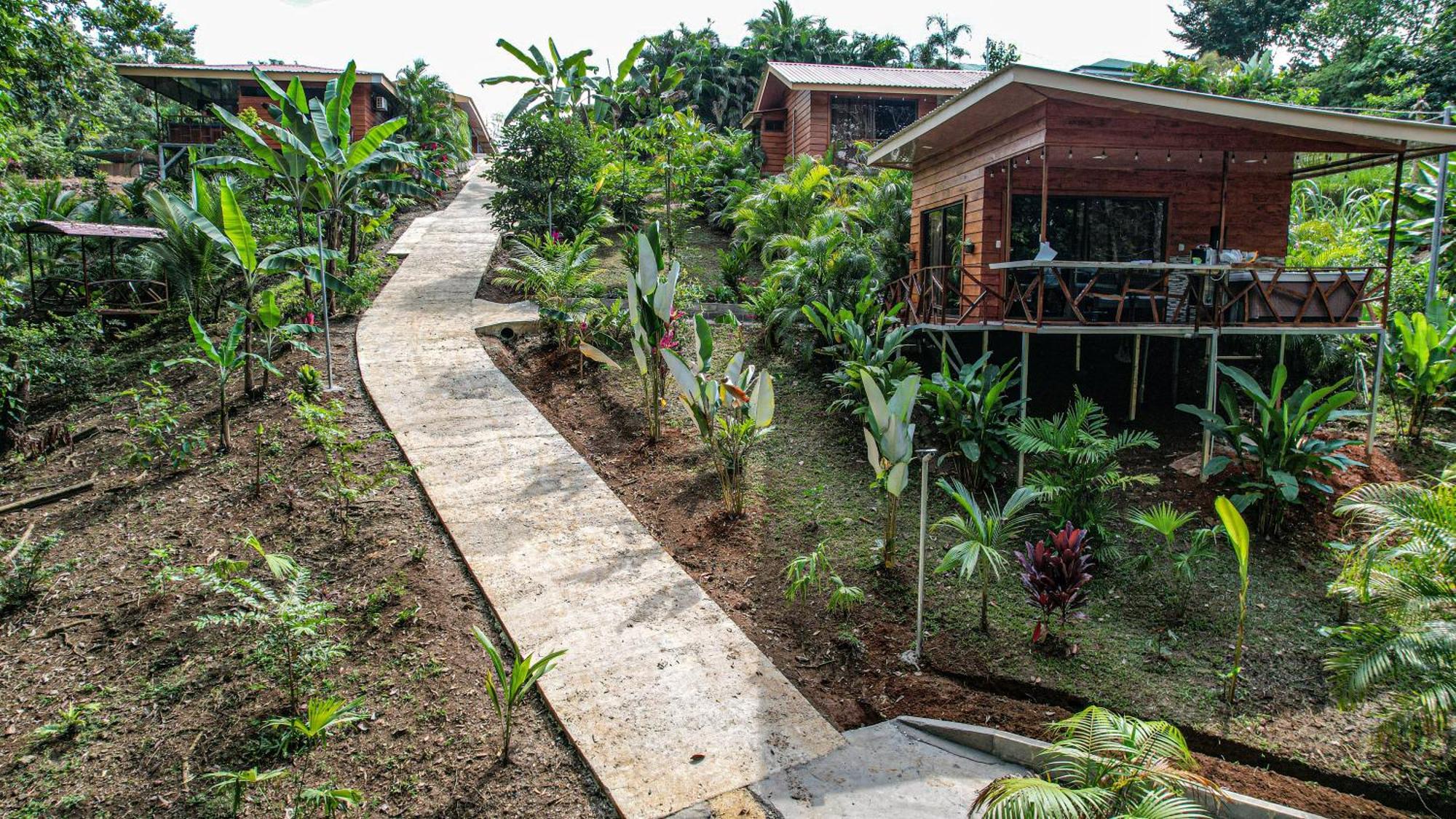 Bungalows Las Iguanas Arenal Volcano La Fortuna المظهر الخارجي الصورة