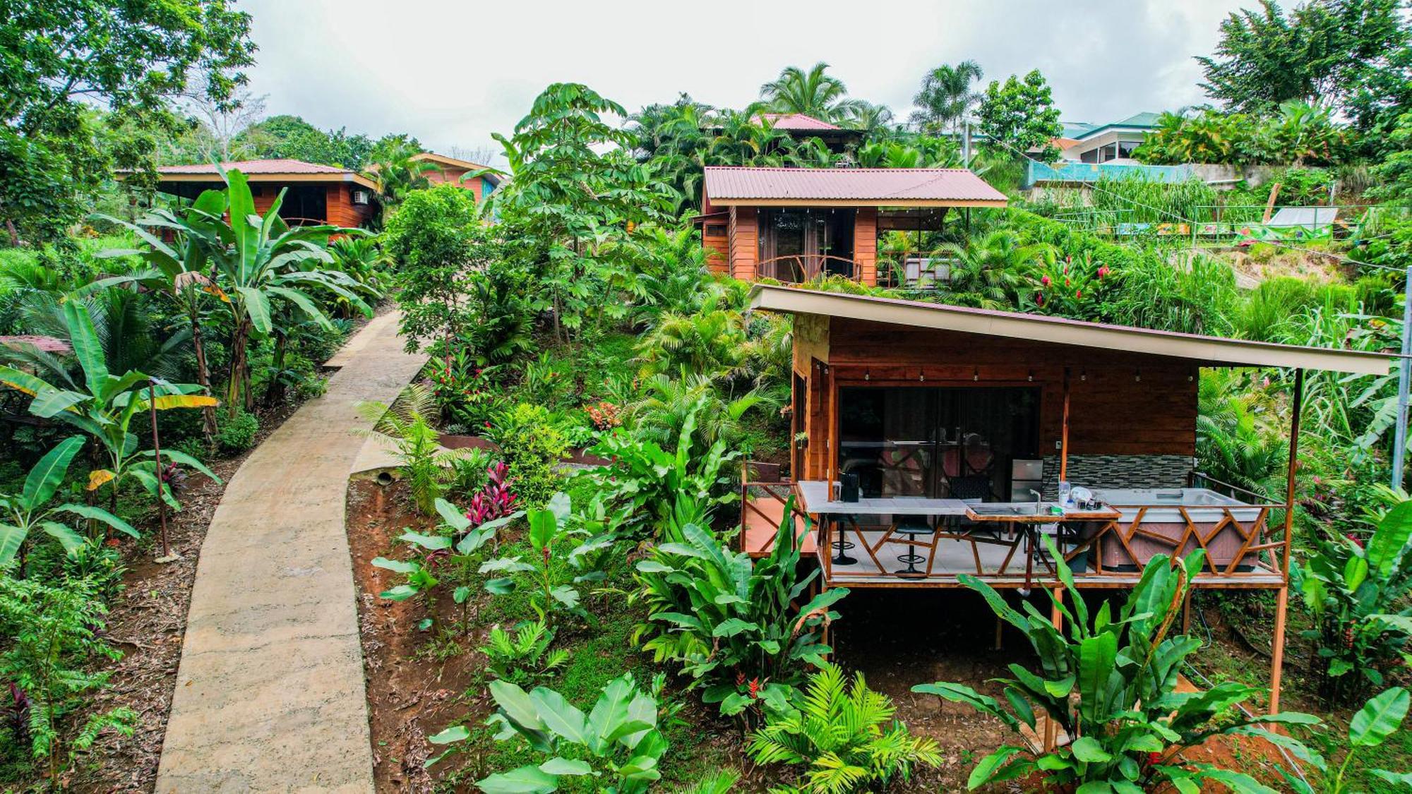 Bungalows Las Iguanas Arenal Volcano La Fortuna المظهر الخارجي الصورة